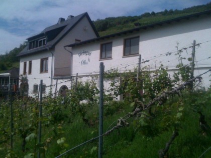 照片: Weingut Ottes